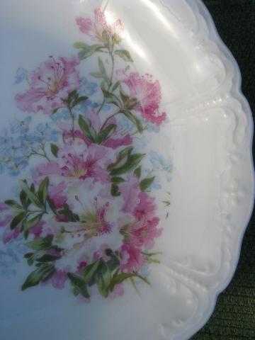 6 antique azalea lily floral china soup bowls, vintage Germany?