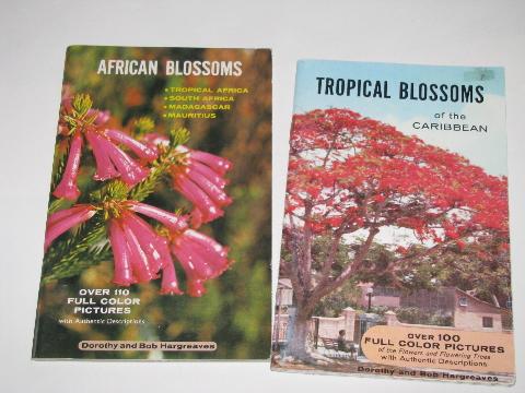 60s - 70s color photo illustrated booklets, tropical Caribbean flowers, African Blossoms