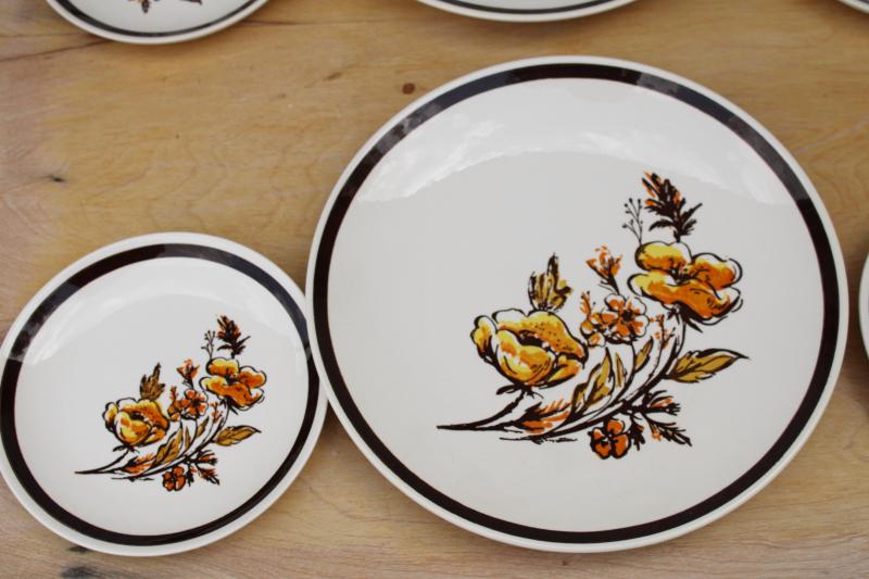 60s 70s vintage dinner & salad plates, Frolic hippie wild flowers pattern Royal china