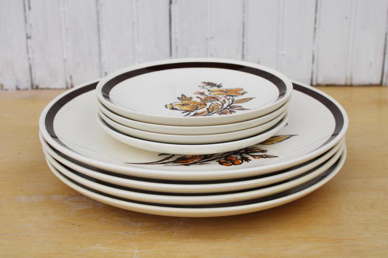 60s 70s vintage dinner & salad plates, Frolic hippie wild flowers pattern Royal china