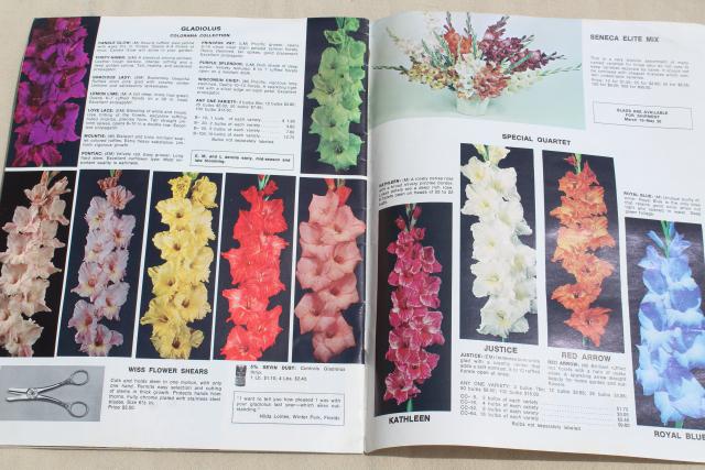 60s 70s vintage garden seed catalogs, old vegetable and flower seed varieties w/ photos