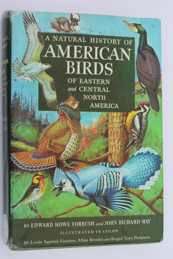 A Natural History of American Birds - Edward Howe Forbush & John Bichard May