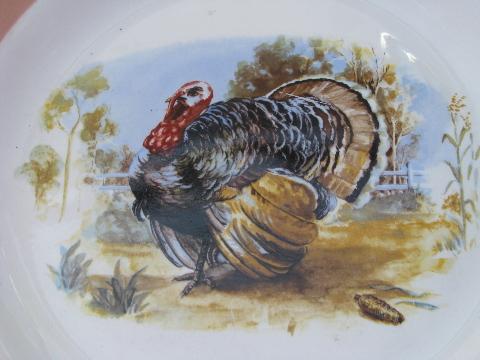 American Limoges vintage china platter, Thanksgiving turkey
