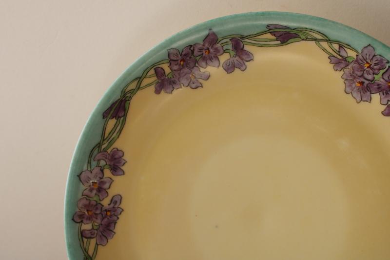 Art Nouveau floral border hand painted china plate wall hanging, early 1900s vintage
