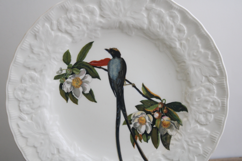 Audubon Birds of America vintage Alfred Meakin china plate, Fork Tailed Flycatcher print