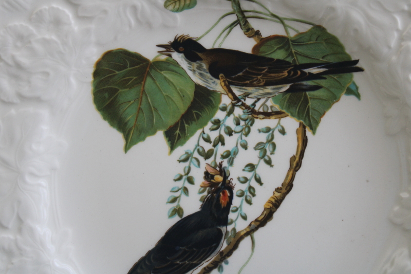 Audubon Birds of America vintage Alfred Meakin china plate, Kingbird print
