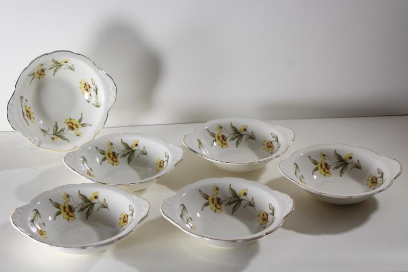 Autumn Mist yellow coreopsis flowers vintage Canonsburg china chowder bowls w/ handles