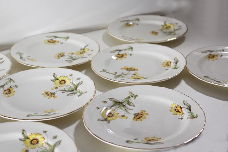 Autumn Mist yellow coreopsis flowers vintage Canonsburg china plates