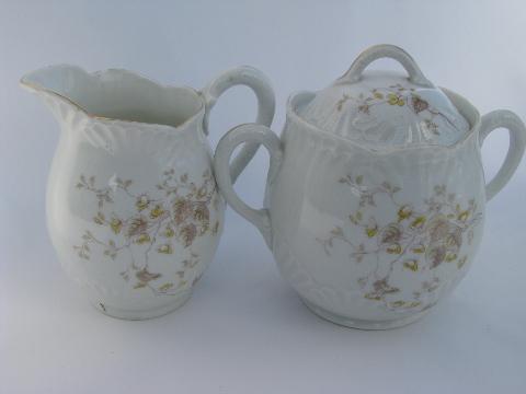 Bohemia antique Imperial Karlsbad floral transferware china tea pot set