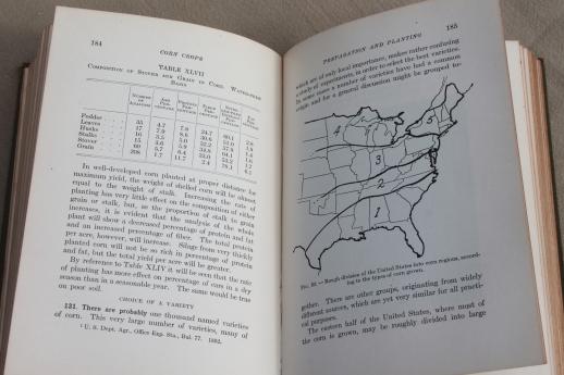 Corn Crops, vintage 1920 farming text book, agricultural field crop maize sorghum grain production