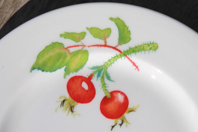 Crate & Barrel Christmas holiday berry china plates, Mary Woodin Crate and Barrel