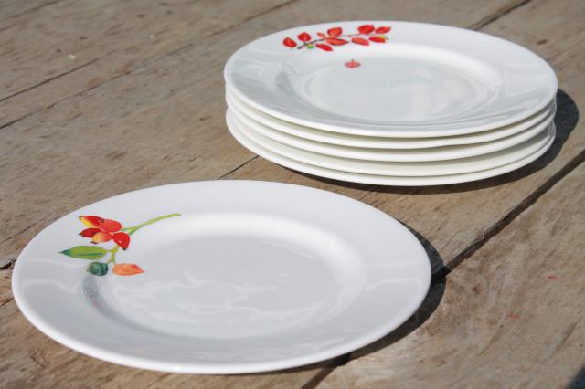 Crate & Barrel Christmas holiday berry china plates, Mary Woodin Crate and Barrel