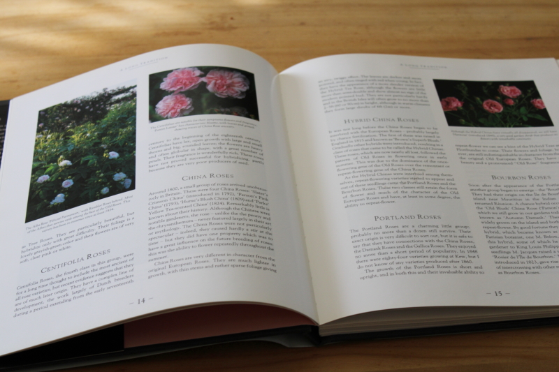 David Austins English Roses, tons of photos cutting gardens, catalog of rose varieties