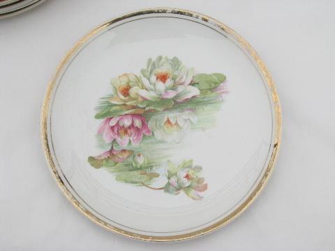 Dresden china antique porcelain plates, art nouveau vintage water lilies