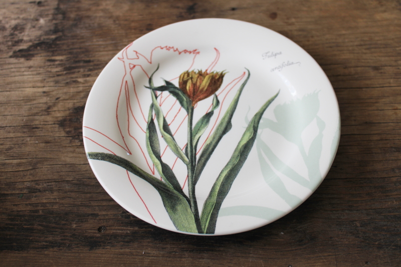 Gien France ceramic plates w/ herbal botanical illustrations, flowering bulbs  