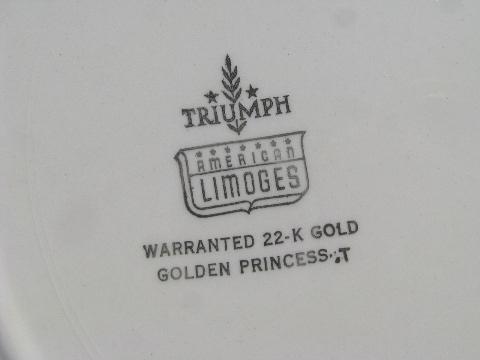 Golden Princess vintage American Limoges china dishes, floral w/laurel