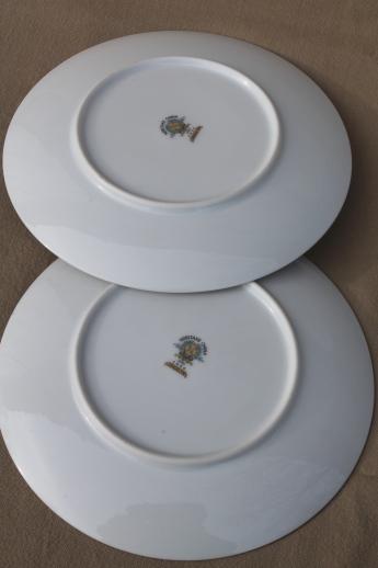 Gracelyn Noritake china salad plates set of 12, vintage Noritake dinnerware