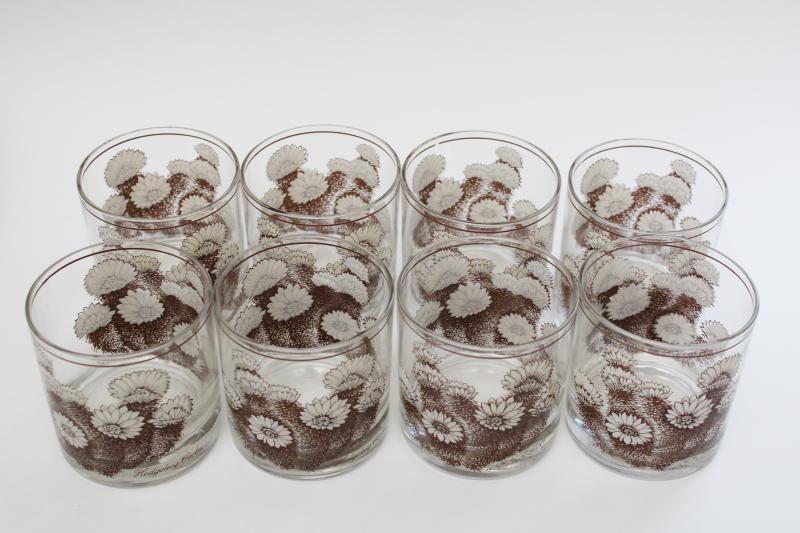 Hedgehog Cactus print glass tumblers set of 8, retro vintage lowball glasses
