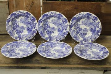 La Primula Italian ceramic soup bowls grapes pattern vintage blue  white dishes