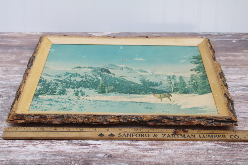 MCM vintage rustic retro wilderness photo print in live edge wood picture frame w/ tree bark