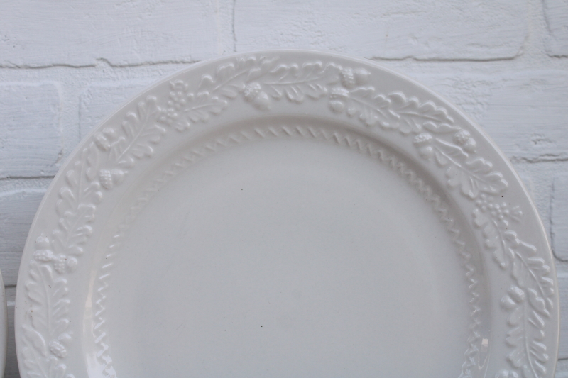 Martha Stewart MSE Acorn oak leaf embossed china, neutral fall dinnerware dinner plates set, white ironstone style