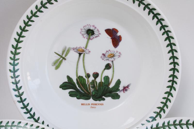 Portmeirion Botanic Garden rim soup bowls, English daisy, narcissus, cyclamen