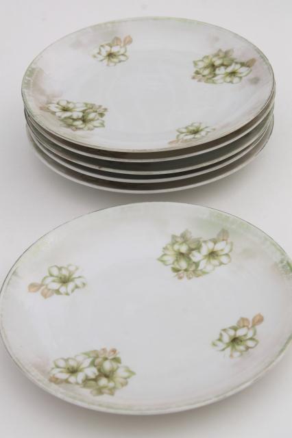 RS Germany china plates, antique dessert set dishes w/ hand painted flowers & luster