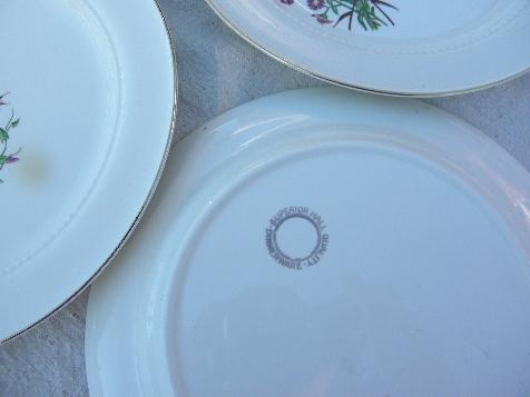 Richmond pattern vintage Hall china plates, brown eyed susans & asters