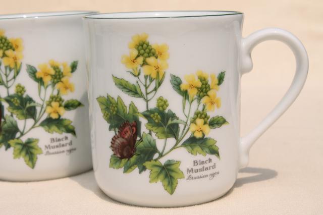 Royal Worcester Herbs botanical print china, set of six coffee / tea mugs