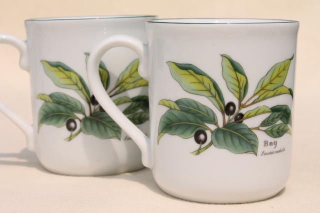 Royal Worcester Herbs botanical print china, set of six coffee / tea mugs