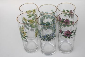 Royal Worcester Herbs pattern go-along glass tumblers, set of six drinking glasses