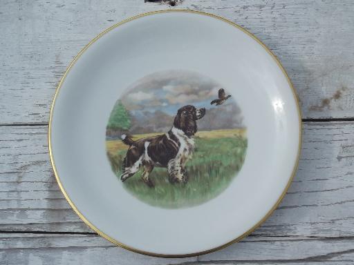 Springer spaniel bird dog in the field, vintage Bavaria china plate