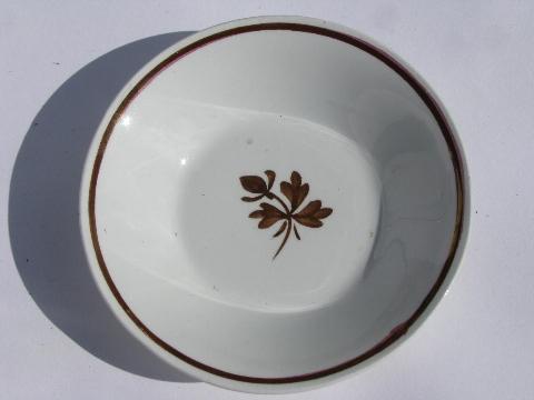Tea Leaf copper luster antique vintage white ironstone china bowl & platter