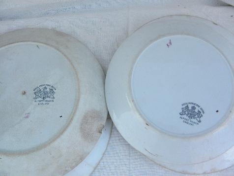Tea Leaf copper luster antique vintage white ironstone china plates lot