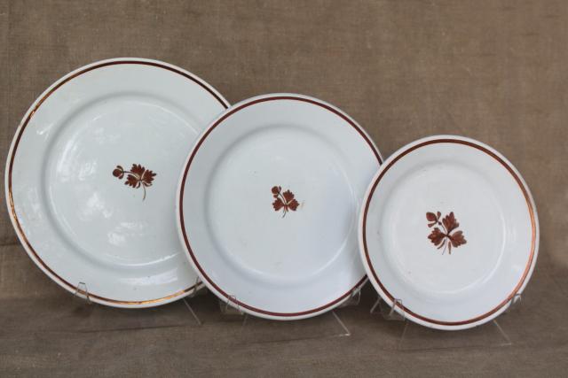 Tea Leaf pattern white ironstone china w/ copper luster stack of antique plates