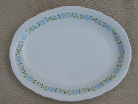 Texas bluebonnet flowers Shenango ironstone oval steak platter plates