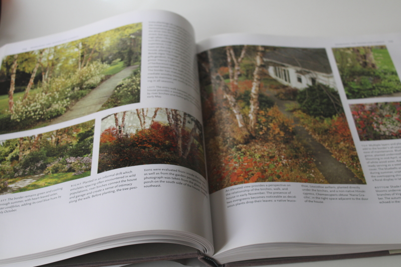 Timber Press book The American Woodland Garden tons of landscape gardening photos