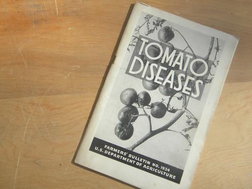 Tomato Diseases with photos, vintage USDA farmers bulletin No 1934