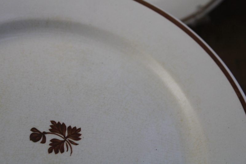 Victorian era Tea Leaf ironstone, 1800s antique china plates w/ Anthony Shaw Royal Arms mark