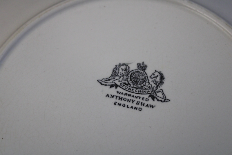 Victorian era Tea Leaf ironstone, 1800s antique china plates w/ Anthony Shaw Royal Arms mark