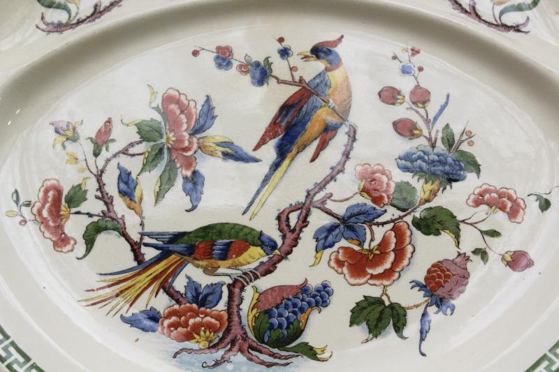 Villeroy & Boch Rouen china grill plate, India tree of life flowers peacock birds 