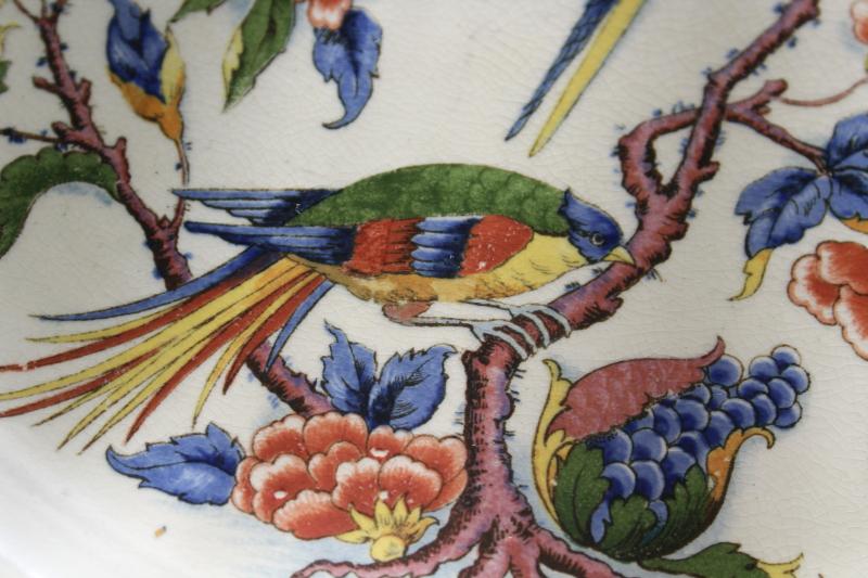 Villeroy & Boch Rouen china grill plate, India tree of life flowers peacock birds 
