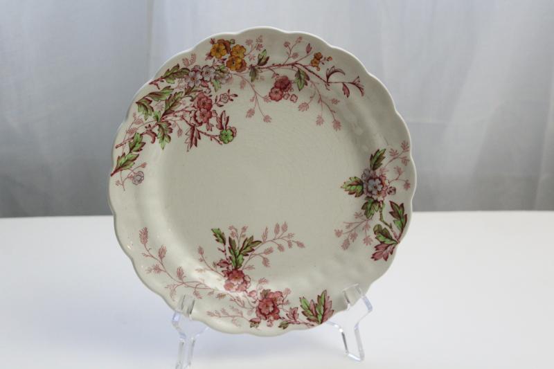 Washington pattern antique transferware, Booths china plate w/ pink multicolor floral
