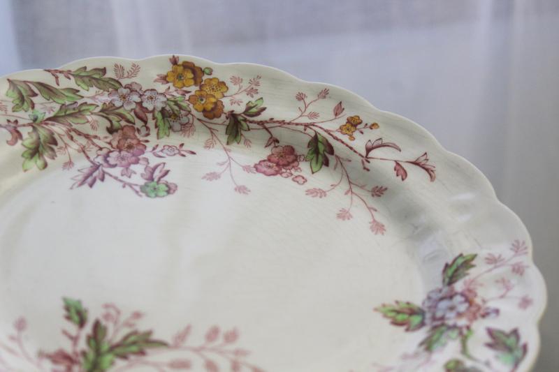 Washington pattern antique transferware, Booths china plate w/ pink multicolor floral