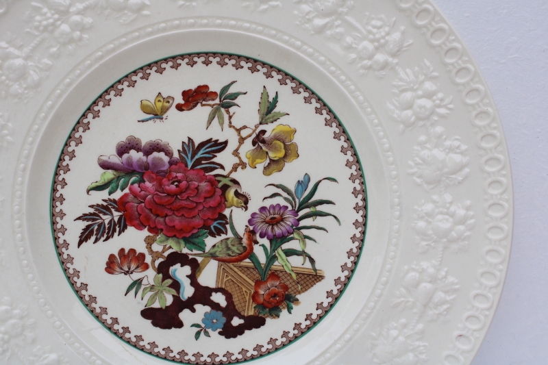Wellesley Wedgwood china vintage dinner plate, Bullfinch India tree of life floral
