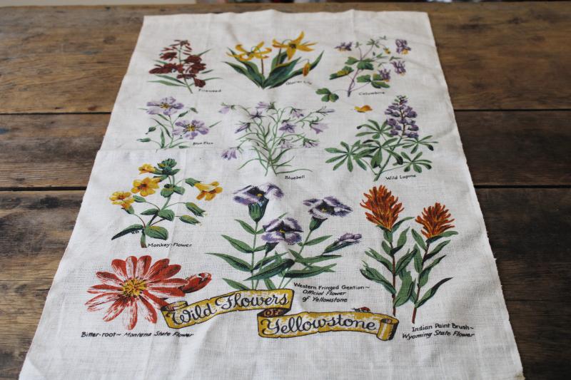 Wild flowers of Yellowstone western botanical print vintage linen tea towel 