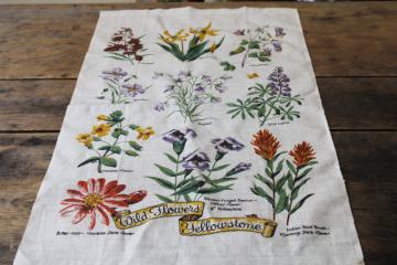 Wild flowers of Yellowstone western botanical print vintage linen tea towel 