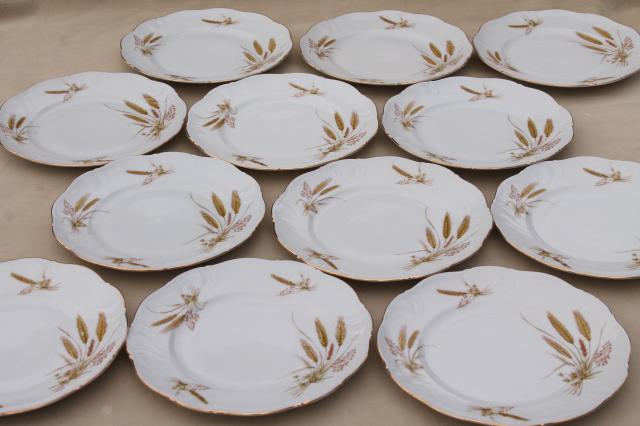 Winterling Bavaria autumn harvest wheat pattern china salad plates, mid-century vintage