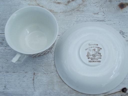 Wm Adams Sharon brown transferware shamrock clover china cups and saucers