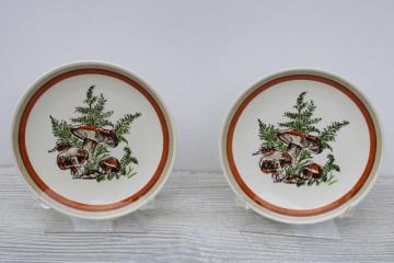 Woodland Magic mushrooms  ferns pattern ceramic plates, 70s vintage USA Royal china